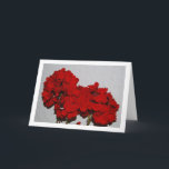 Red Geranium Flowers, Floral Portrait Kaart<br><div class="desc">Red Geranium Flowers,  Floral Portrait Greeting Card. You can easily customize this product for free if you would like to add wording or change the color of the background.</div>