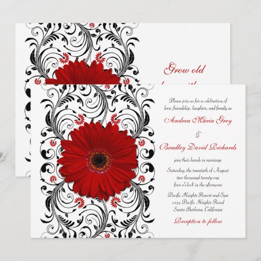 Red Gerber Daisy Black Floral Wedding Invitation Kaart (Voorkant / Achterkant)