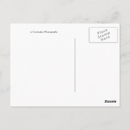 Red Gerber Daisy Briefkaart (Achterkant)