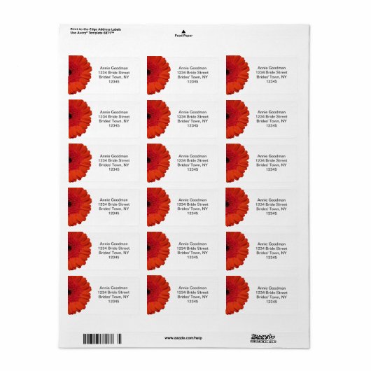 Red Gerber Daisy Bruiloft RSVP Retouradres Label (Full Sheet)