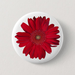 Red Gerber Daisy close-up foto Ronde Button 5,7 Cm