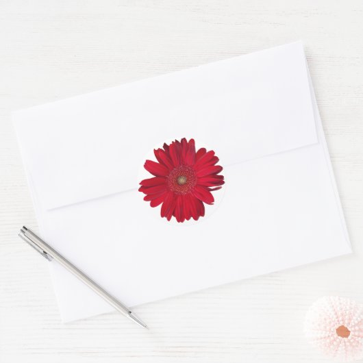 Red Gerber Daisy close-up foto Ronde Sticker (Envelop)
