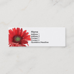 Red Gerber Daisy-contactkaart Contactkaartje