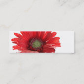 Red Gerber Daisy-contactkaart Contactkaartje (Achterkant)