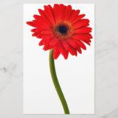 Red Gerber Daisy Flowers Floral Daisies Flower Briefpapier (Voorkant)