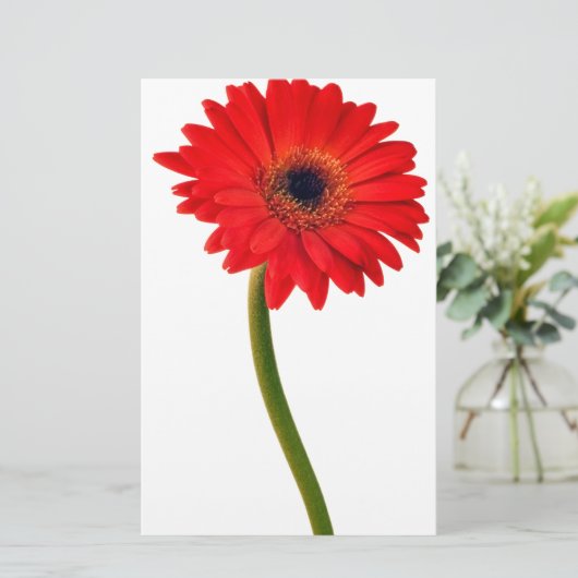 Red Gerber Daisy Flowers Floral Daisies Flower Briefpapier (Staand voorkant)
