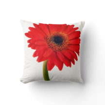 Red Gerber Daisy Flowers Floral Daisies Flower
