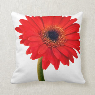 Red Gerber Daisy Flowers Floral Daisies Flower Kussen