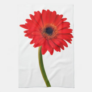 Red Gerber Daisy Flowers Floral Daisies Flower Theedoek