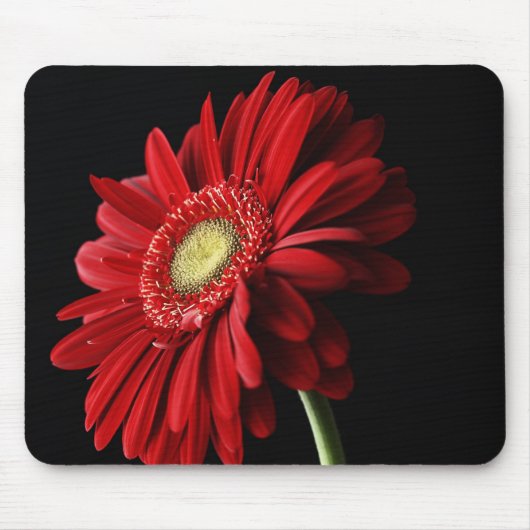 Red Gerber Daisy Muismat (Voorkant)