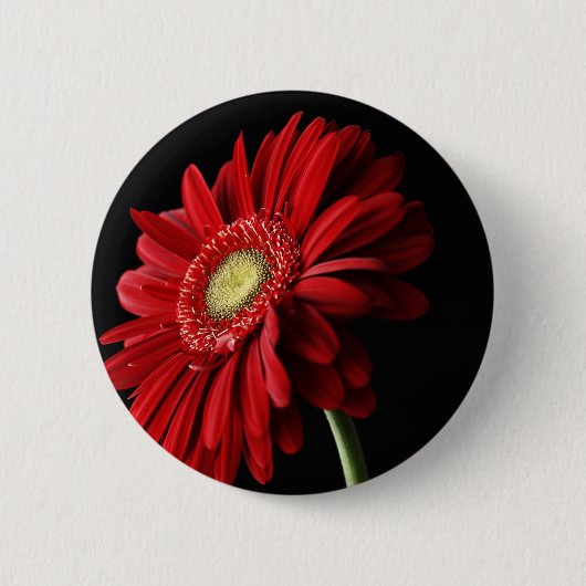 Red Gerber Daisy Pin Ronde Button 5,7 Cm (Voorkant)