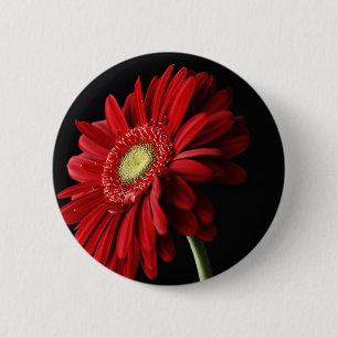 Red Gerber Daisy Pin Ronde Button 5,7 Cm