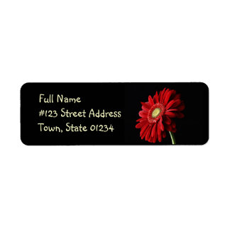 Red Gerber Daisy Retouradreslabel Etiket