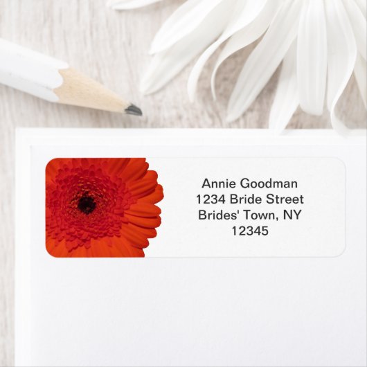 Red Gerber Daisy Retouradreslabel Etiket (Insitu)