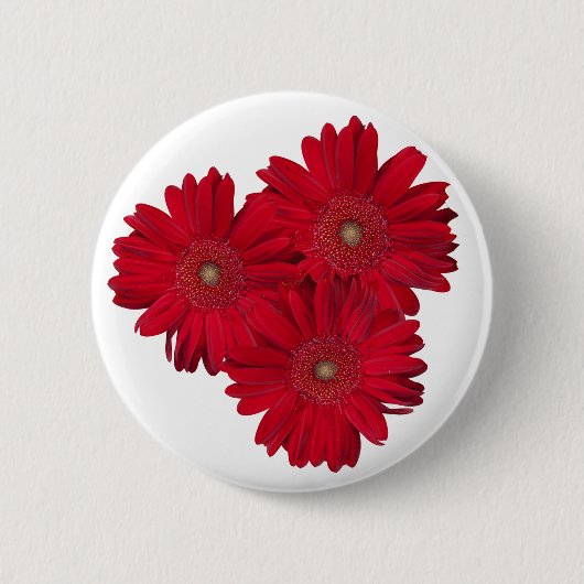 Red Gerber Daisy sluit foto's op Ronde Button 5,7 Cm (Voorkant)