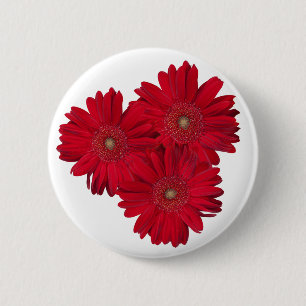 Red Gerber Daisy sluit foto's op Ronde Button 5,7 Cm