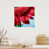 Red Gerber Poster (Keuken)