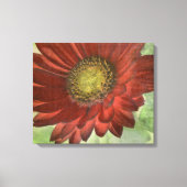 Red Gerbera Canvas Afdruk (Voorkant)
