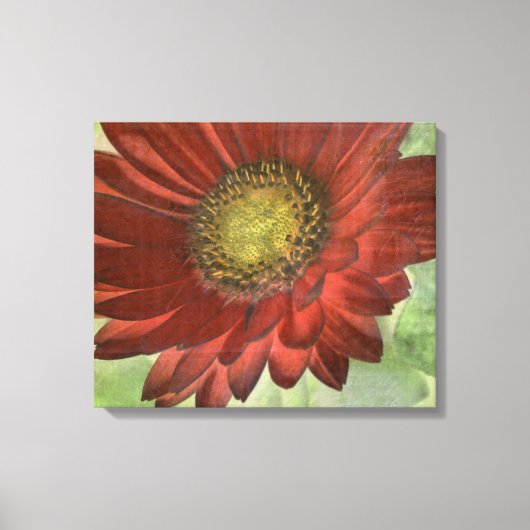 Red Gerbera Canvas Afdruk (Voorkant)