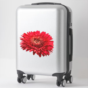 Red Gerbera Daisies close-up foto Sticker