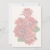 Red Gerbera Daisies Kaart (Achterkant)