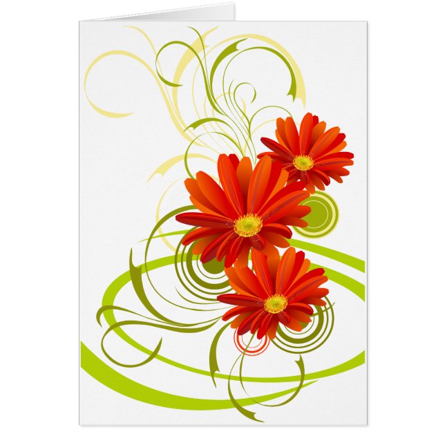 Red Gerbera Daisy (Voorkant)