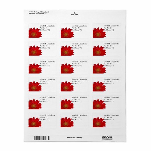 Red Gerbera Daisy Address Label (Full Sheet)