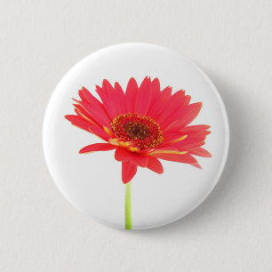 Red Gerbera Daisy Floral Button