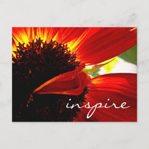 Red Gerbera Daisy Flower Inspire Script Modern Briefkaart