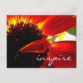 Red Gerbera Daisy Flower Inspire Script Modern Briefkaart (Voorkant)