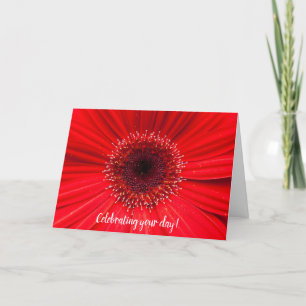Red Gerbera Daisy for birthday Kaart
