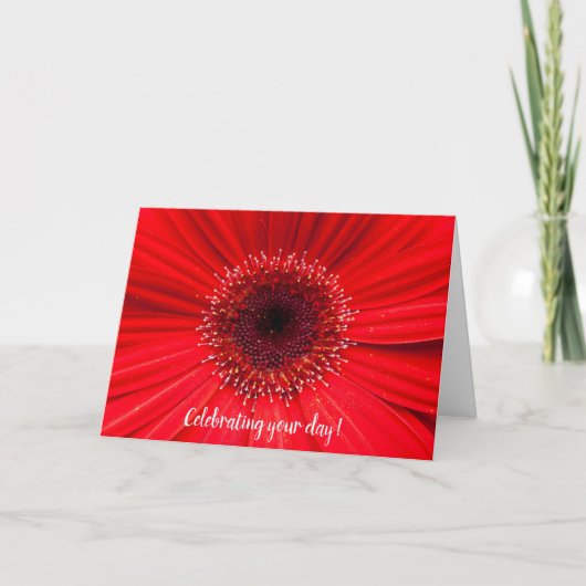 Red Gerbera Daisy for birthday Kaart (Voorkant)