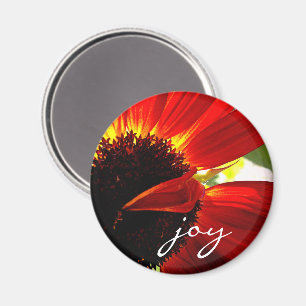Red Gerbera Daisy Foto Joy Script Vet Modern Magneet