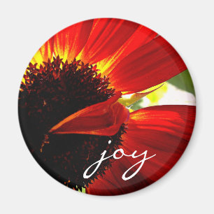 Red Gerbera Daisy Foto Joy Script Vet Modern Magneet