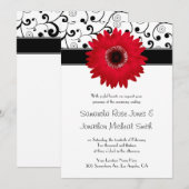 Red Gerbera Daisy met Black Scroll Design Wedding Kaart (Voorkant / Achterkant)
