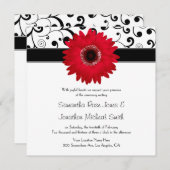 Red Gerbera Daisy met Black Scroll Design Wedding Kaart (Voorkant / Achterkant)