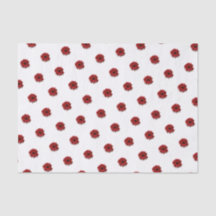 Red Gerbera Daisy Moederdag