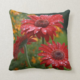 Red Gerbera Daisy Pillow Kussen