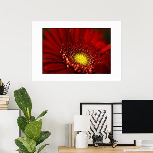 Red Gerbera Daisy Poster (Thuiskantoor)