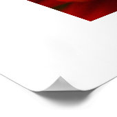 Red Gerbera Daisy Poster (Hoek)