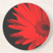 Red Gerbera Daisy Print Zandsteen Onderzetter (Voorkant)