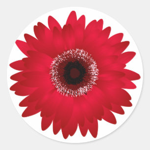Red Gerbera Daisy Ronde Sticker