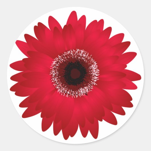 Red Gerbera Daisy Ronde Sticker (Voorkant)