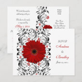 Red Gerbera Daisy RSVP Briefkaart (Voorkant / Achterkant)
