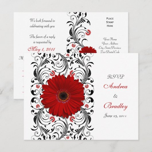 Red Gerbera Daisy RSVP Briefkaart (Voorkant / Achterkant)