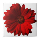 Red Gerbera Daisy Tegeltje (Voorkant)