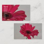 Red Gerbera Daisy Visitekaartje (Voorkant / Achterkant)