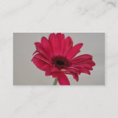 Red Gerbera Daisy Visitekaartje (Achterkant)