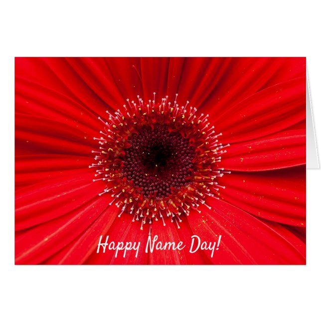 Red Gerbera Daisy voor naamdag (Voorkant Horizontaal)