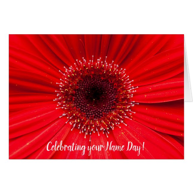 Red Gerbera Daisy voor naamdag (Voorkant Horizontaal)